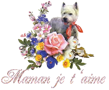 pour ma maman qui est loin et que j'aime